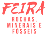 Feira de Rochas, Minerais e Fósseis